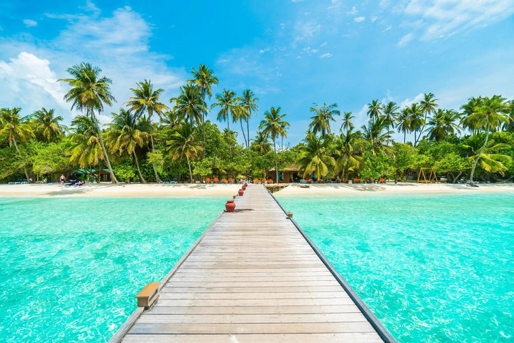 Caribe and central America