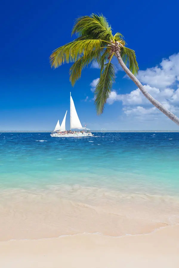 Vacation in Punta Cana