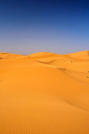 Arabian Emirates