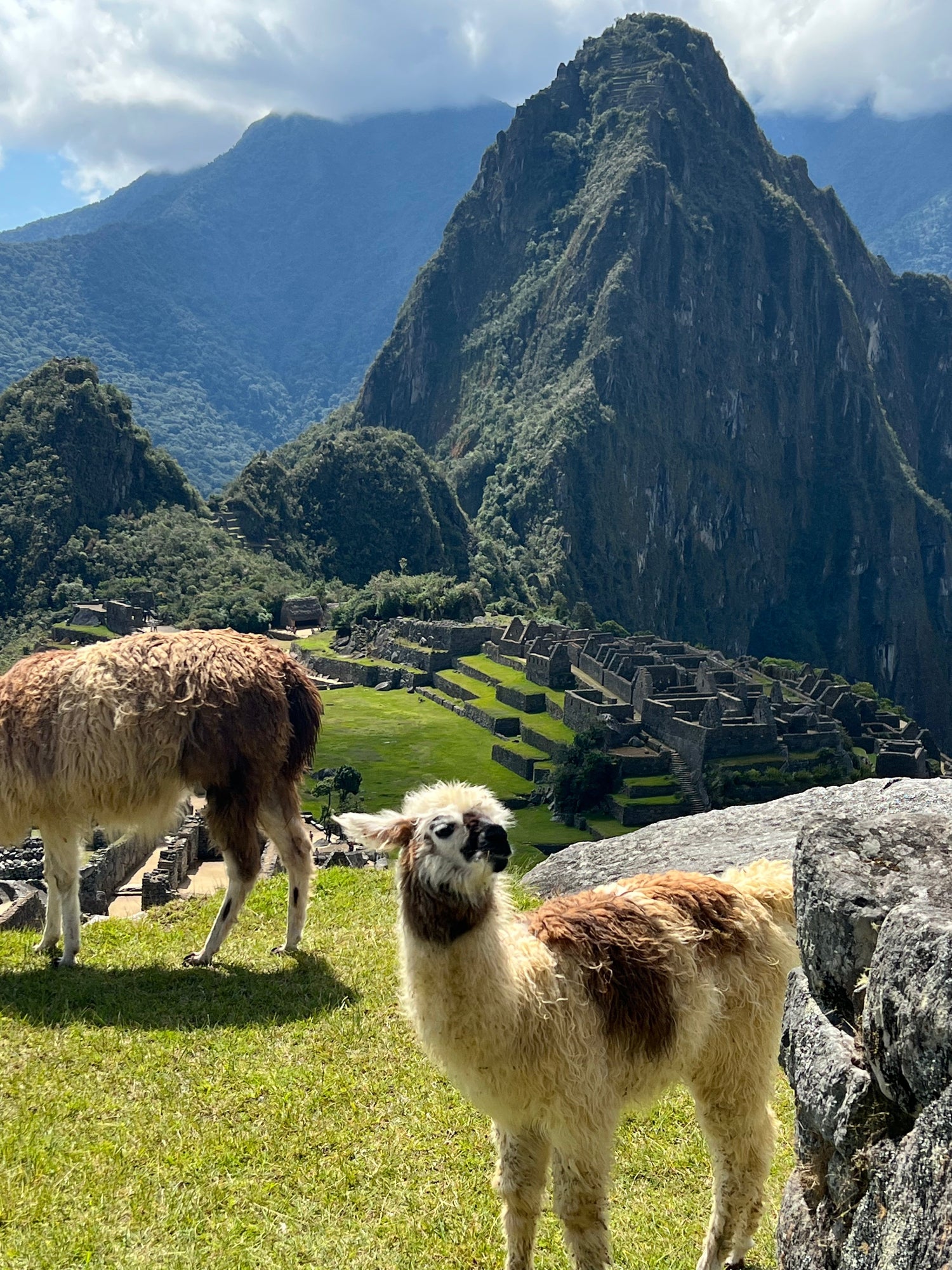 South America