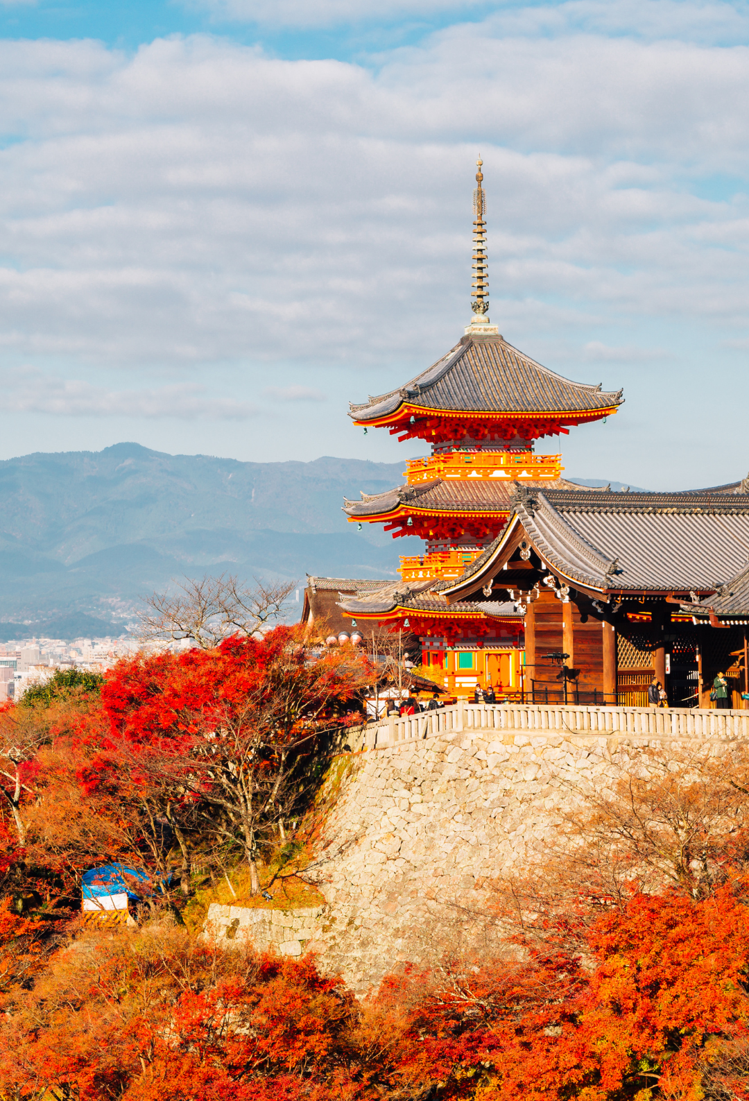 Japan and South Korea