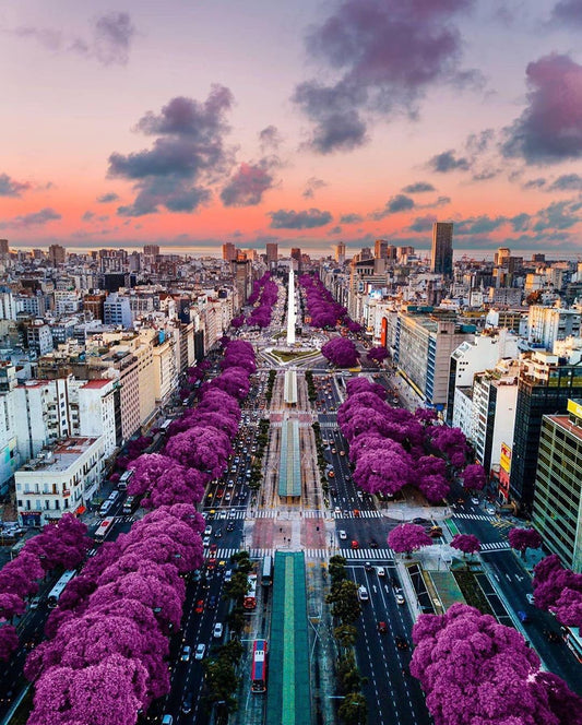 Buenos Aires and El Calafate