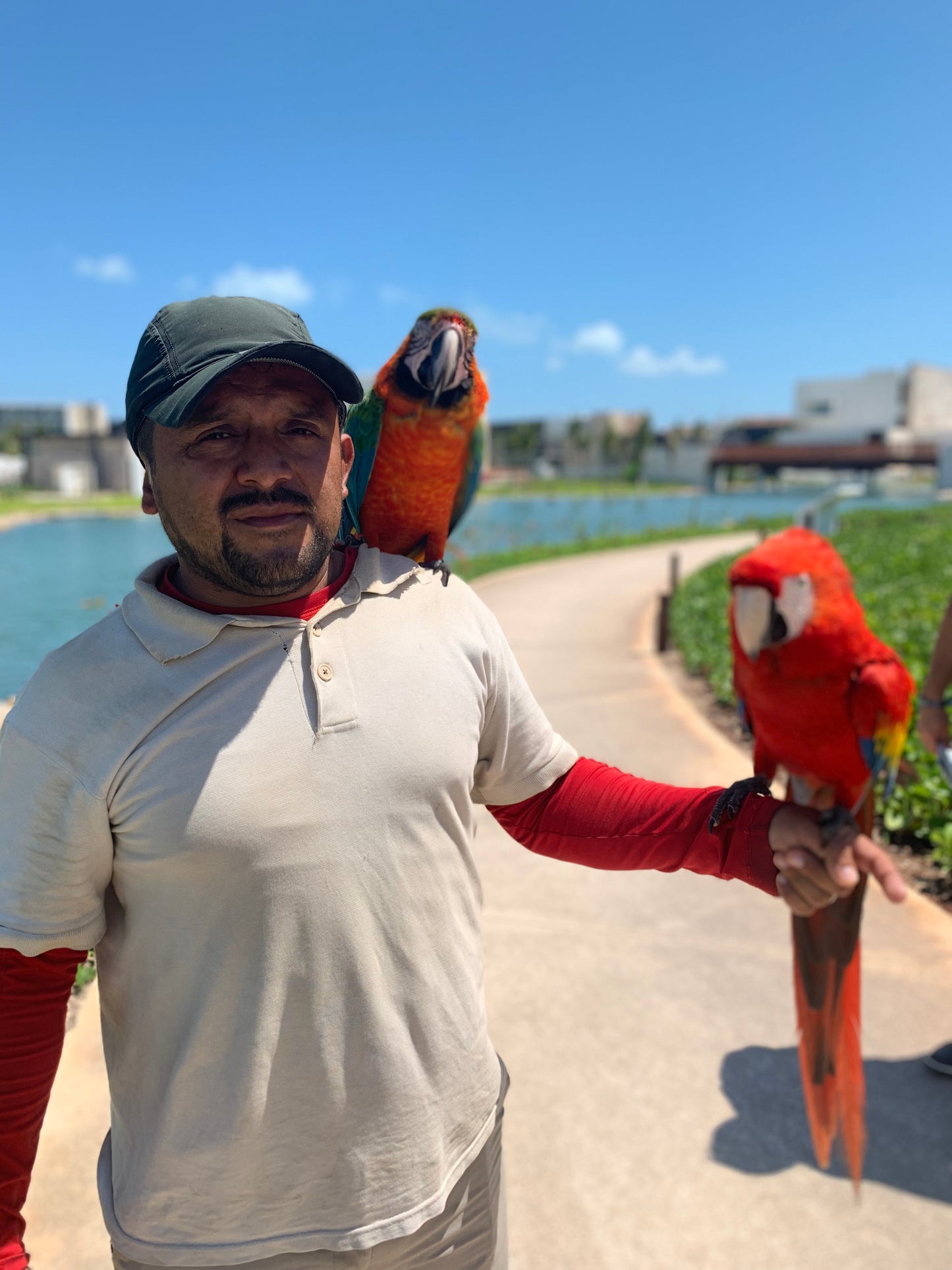 Vacation in Cancun or Riviera Maya