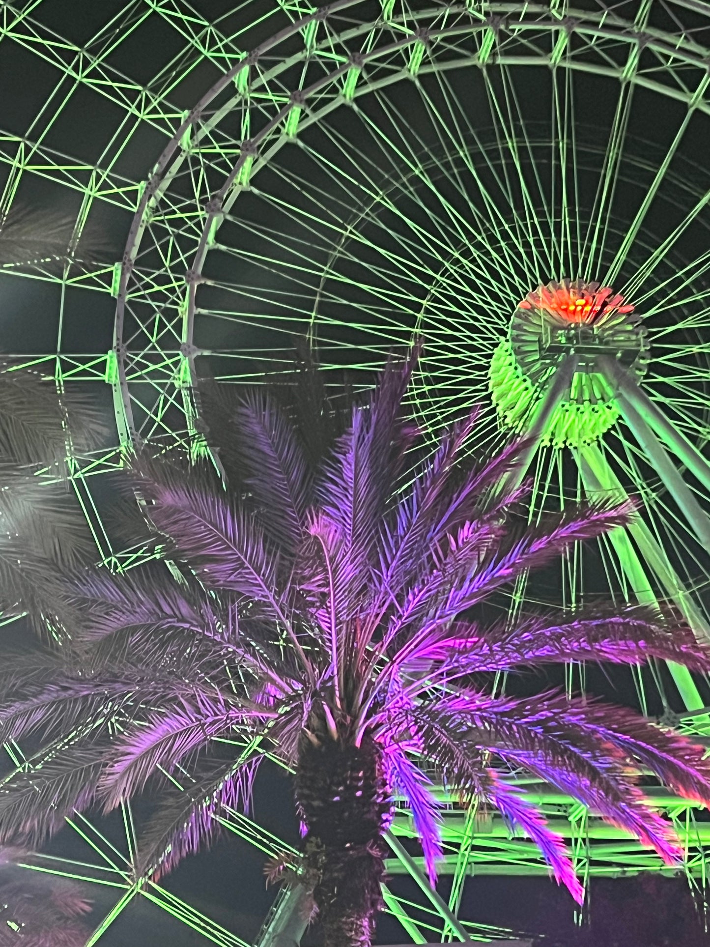 Orlando - Theme Parks
