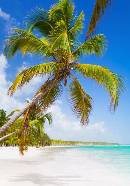 Vacation in Punta Cana