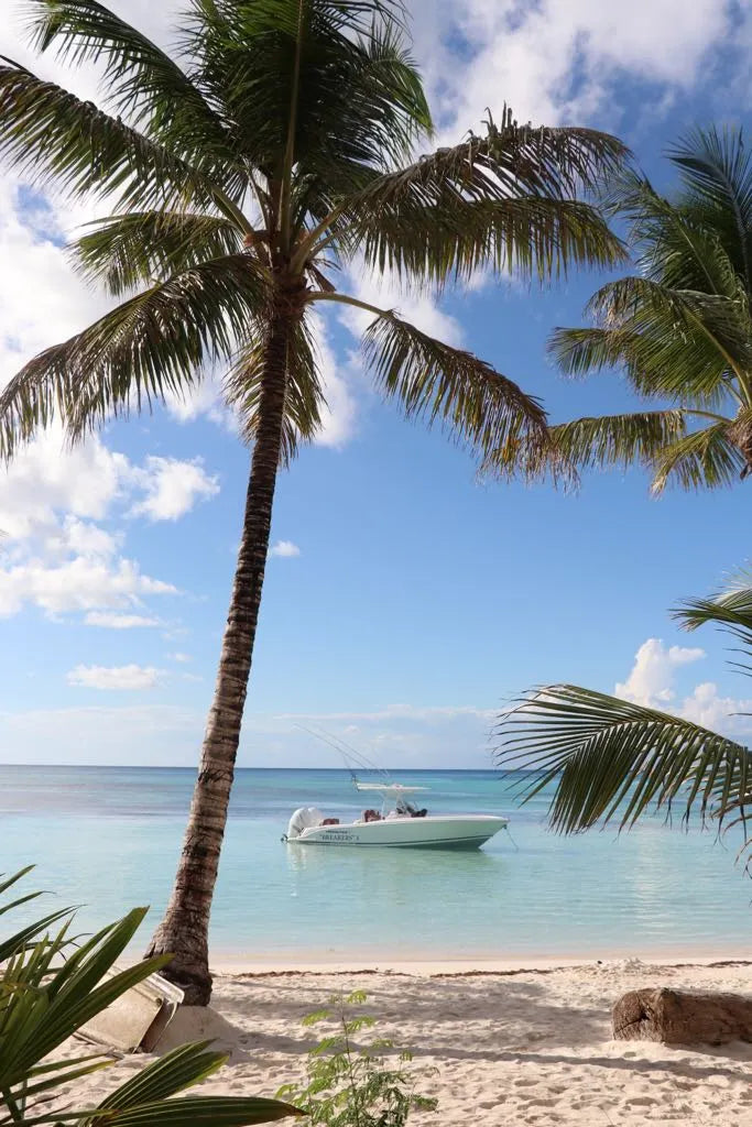 Vacation in Punta Cana