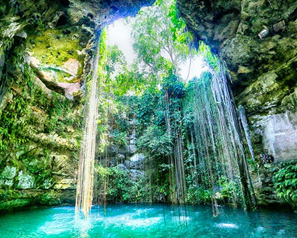 Vacation in Cancun or Riviera Maya